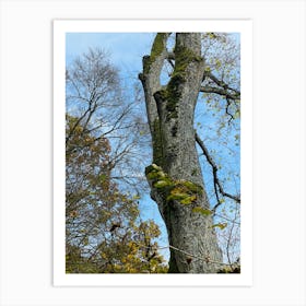 Mossy Tree Art Print