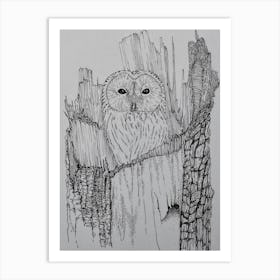 Towny owl in the stump Art Print