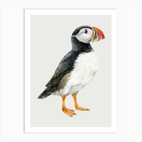 Puffin Art Print