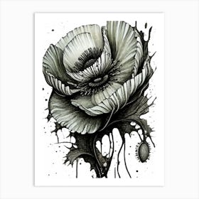Black And White Poppy Art Print