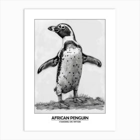 Penguin Standing On Tiptoes Poster 1 Art Print