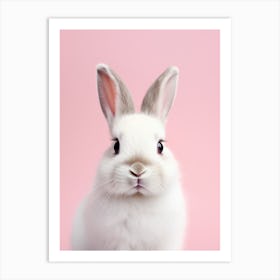 White Rabbit On Pink Background Art Print