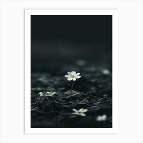 White Flower 27 Art Print