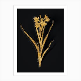 Vintage Sword Lily Botanical in Gold on Black Art Print