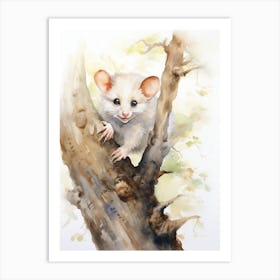 Light Watercolor Painting Of A Climbing Possum 2 Art Print