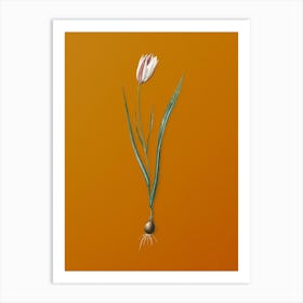 Vintage Lady Tulip Botanical on Sunset Orange n.0066 Art Print