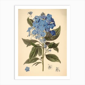 Farmhouse Blue Flowers Art Print