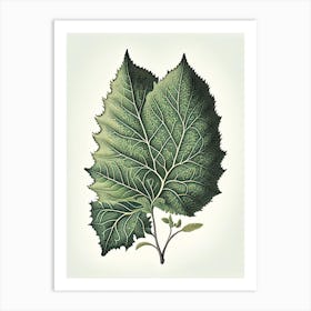 Silverberry Leaf Vintage Botanical 2 Art Print
