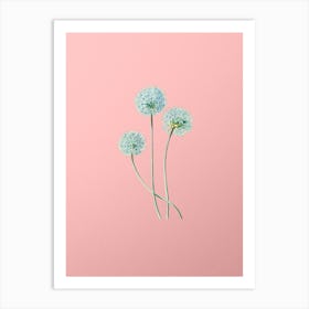 Vintage Blue Leek Flower Branch Botanical on Soft Pink n.0932 Art Print