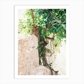 Green Tree In Street of Eivissa // Ibiza Travel Photography Art Print