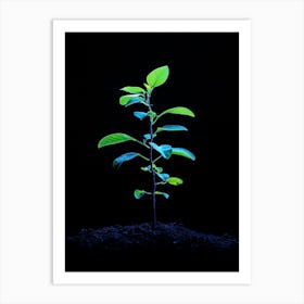 Small Green Plant On Black Background 4 Art Print