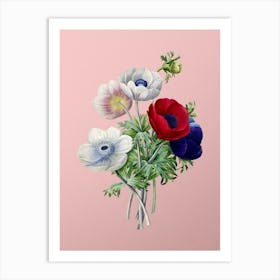 Vintage Anemone Simplex Botanical on Soft Pink n.0614 Art Print