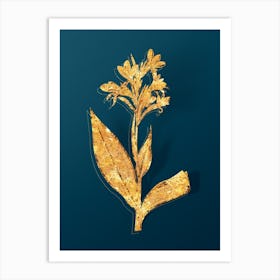 Vintage Water Canna Botanical in Gold on Teal Blue n.0162 Art Print