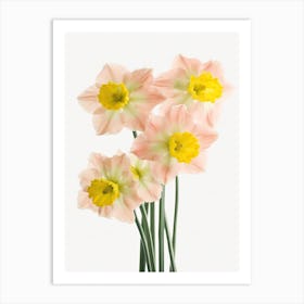 Bunch Of Daffodils Flowers Acrylic Painting In Pastel Colours 6 Art Print