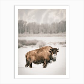 Rustic Winter Bison Art Print