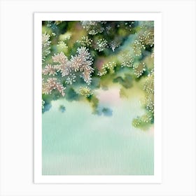 Acropora Ii Storybook Watercolour Art Print