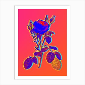 Neon Double Moss Rose Botanical in Hot Pink and Electric Blue n.0616 Art Print