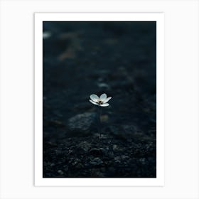 Single Flower 30 Art Print