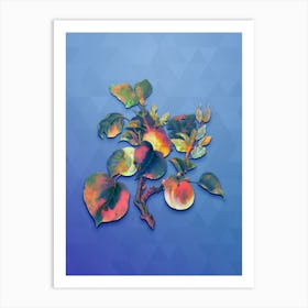 Vintage Apricot Botanical Art on Blue Perennial n.0139 Art Print