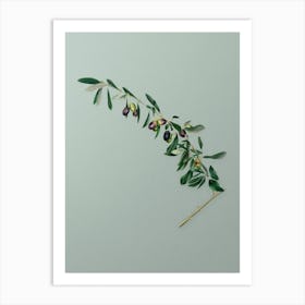 Vintage Olives Botanical Art on Mint Green n.0494 Art Print