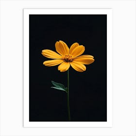 Single Yellow Flower On Black Background 4 Art Print