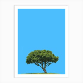 Lone Tree On Blue Sky Art Print
