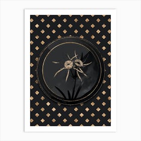 Shadowy Vintage Streambank Spiderlily Botanical in Black and Gold n.0163 Art Print