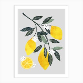 Lemon Branch 1 Affiche