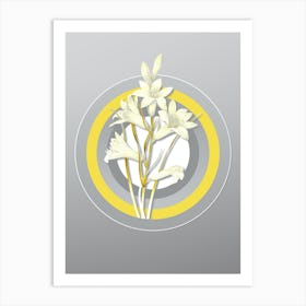 Botanical St. Bruno's Lily in Yellow and Gray Gradient n.238 Art Print