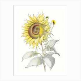 Sunflower Floral Quentin Blake Inspired Illustration 4 Flower Art Print