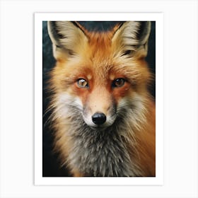 Red Fox Close Up Realism 2 Art Print