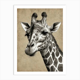 Giraffe 104 Art Print