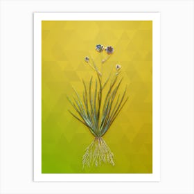 Vintage Blue Corn Lily Botanical Art on Empire Yellow n.0370 Art Print