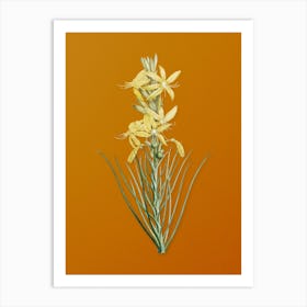 Vintage Yellow Asphodel Botanical on Sunset Orange n.0117 Art Print
