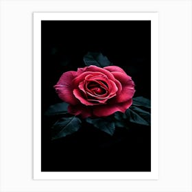 Dark Rose 41 Art Print