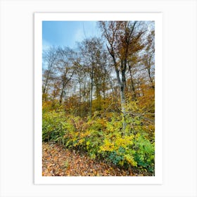 Autumn In The Woods 13 Art Print