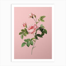 Vintage Pink Rose Turbine Botanical on Soft Pink Art Print