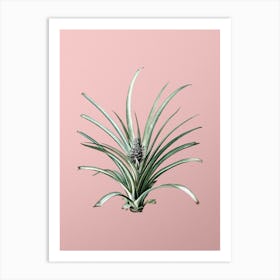 Vintage Pineapple Botanical on Soft Pink Art Print