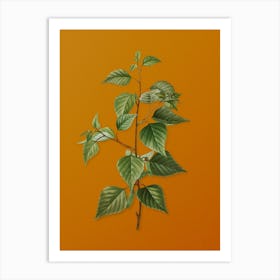 Vintage Black Birch Botanical on Sunset Orange n.0646 Art Print