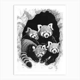 Red Panda Family Sleeping In A Cave Ink Illustration 1 Art Print