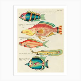 Colourful And Surreal Illustrations Of Fishes Found In Moluccas (Indonesia) And The East Indies, Louis Renard(11) Art Print