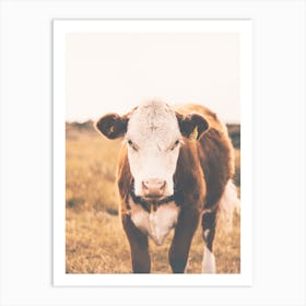 Brown Milk Cow Art Print