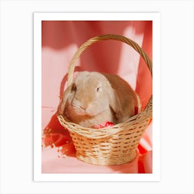 Rabbit In A Basket 1 Art Print