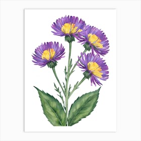 Watercolor Chrysanthemum Flower Art Print