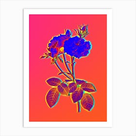 Neon Damask Rose Botanical in Hot Pink and Electric Blue Art Print