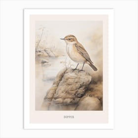 Vintage Bird Drawing Dipper 1 Poster Art Print