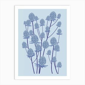 Eryngium Flowers Art Print