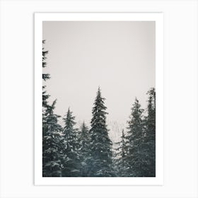 Snow Storm In Forest Art Print