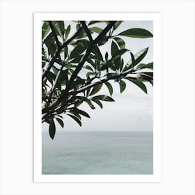 Tree On The Beach 1 Art Print