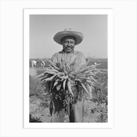 Untitled Photo, Possibly Related To Mexican Carrot Worker, Edinburg, Texas By Russell Lee Art Print
